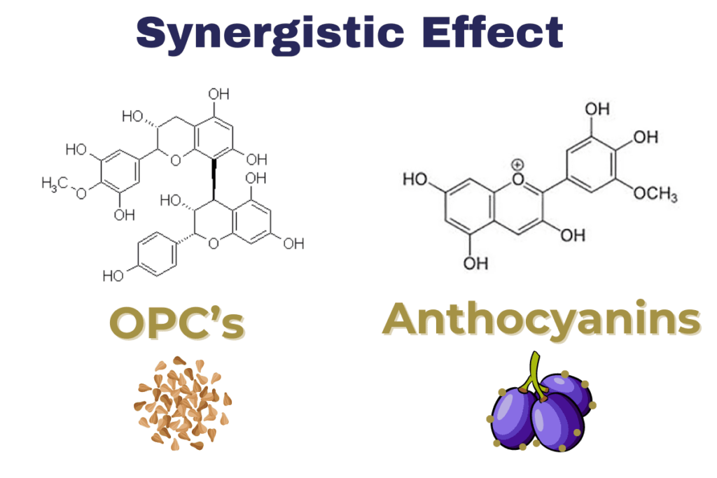 Synergistic Effect